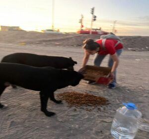 Visitando animales en situación de abandono