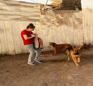 Visitando animales en situación de abandono