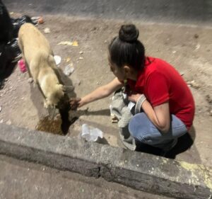 Visitando animales en situación de abandono